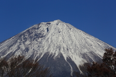 富士の勇士
