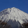 富士の勇士