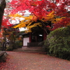 小道と紅葉
