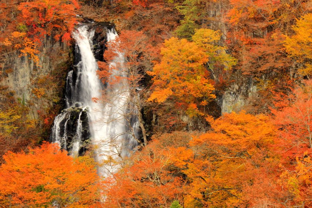 滝と紅葉