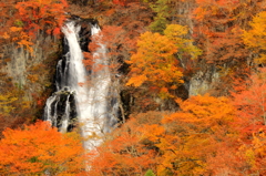 滝と紅葉