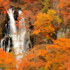滝と紅葉