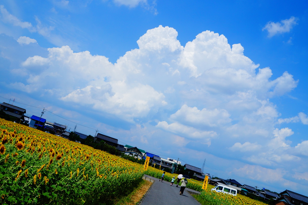 blue sky