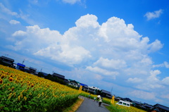 blue sky