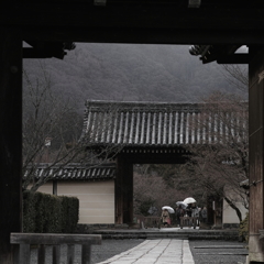 「雨の嵐山」