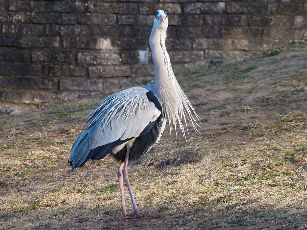 なに撮ってんのよ～