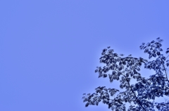TOR_9432_01