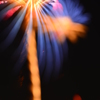 TOR_0371