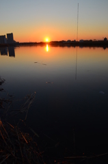 TOR_0254