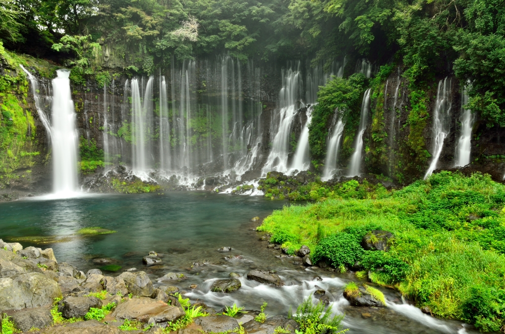 TOR_9637_01