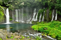 TOR_9637_01