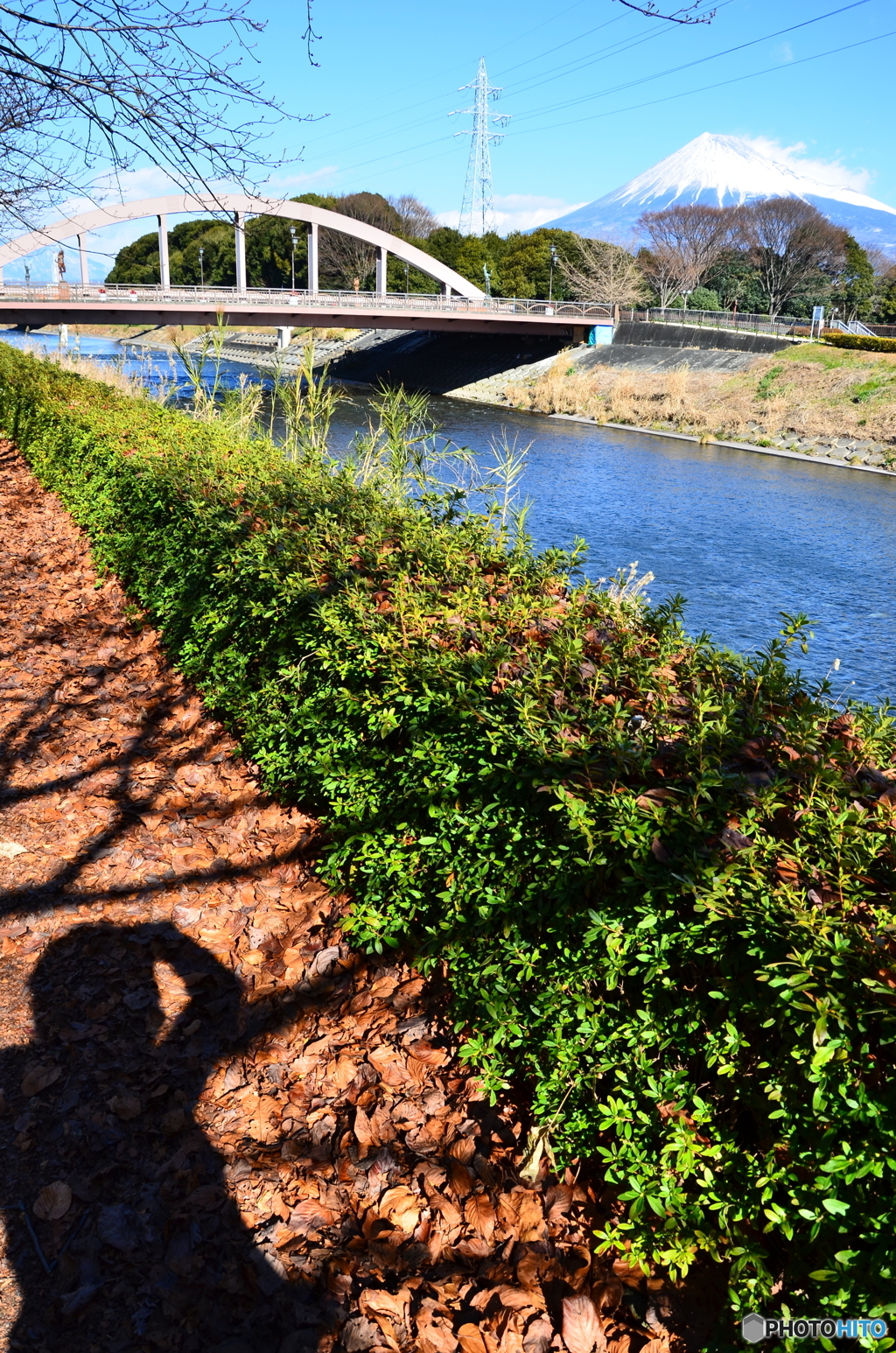 富士山、橋、川、緑、茶色、俺