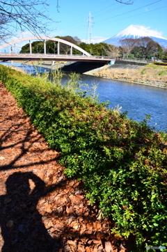 富士山、橋、川、緑、茶色、俺