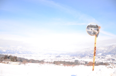 TOR_9800