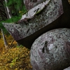 高野山