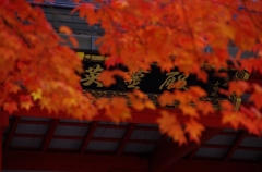 高野山