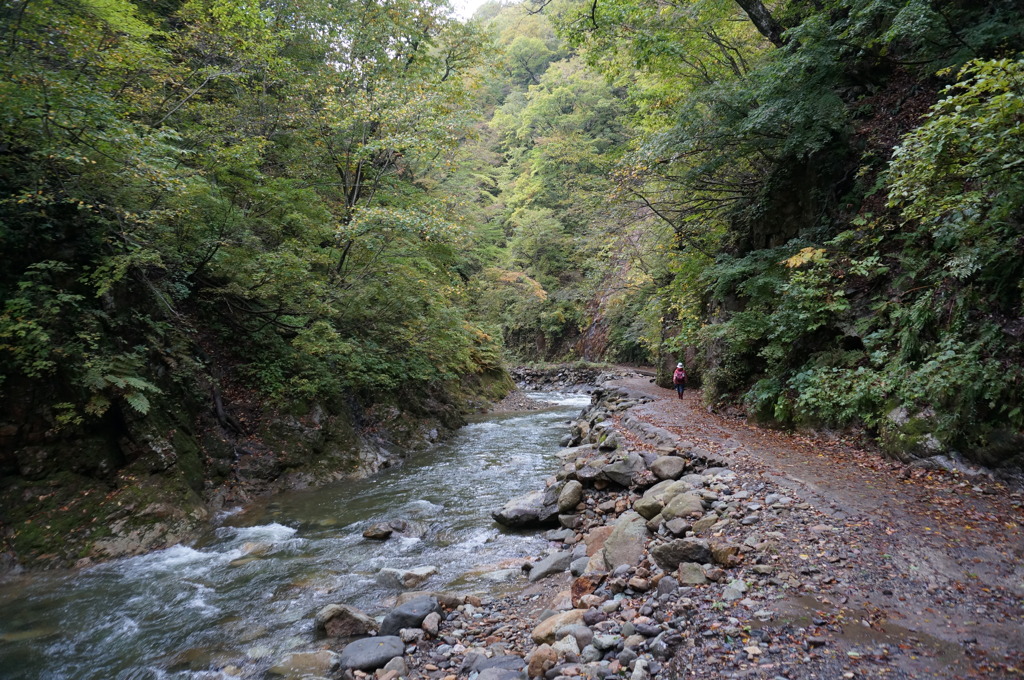 白神山地（暗門の滝入口付近）