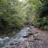 白神山地（暗門の滝入口付近）
