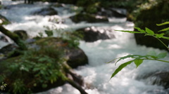 奥入瀬渓流