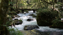 奥入瀬渓流
