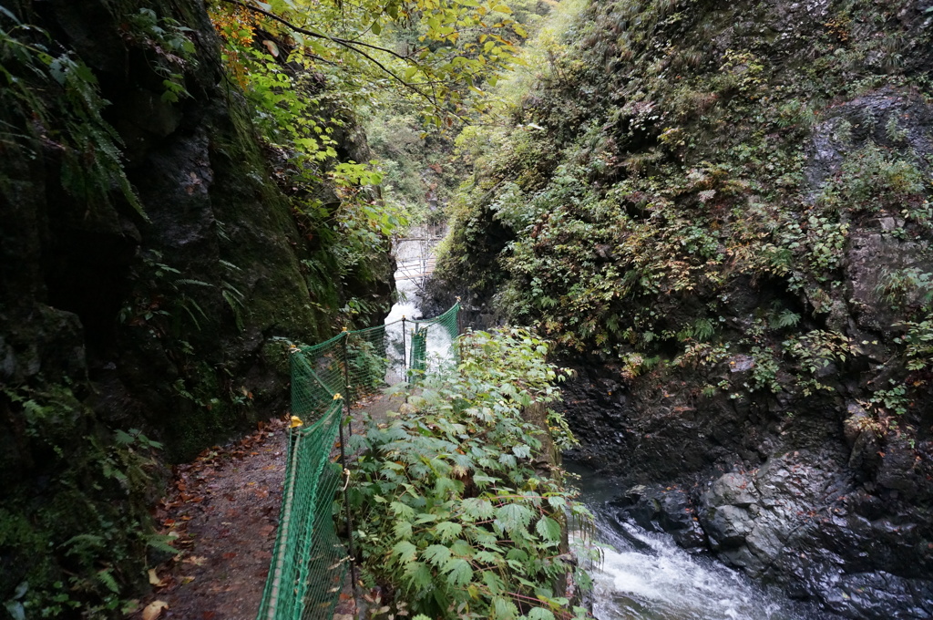 白神山地（暗門の滝　第三の滝手前）