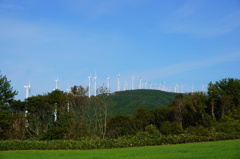 DSC00380