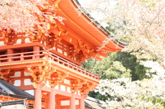 鴨川神社