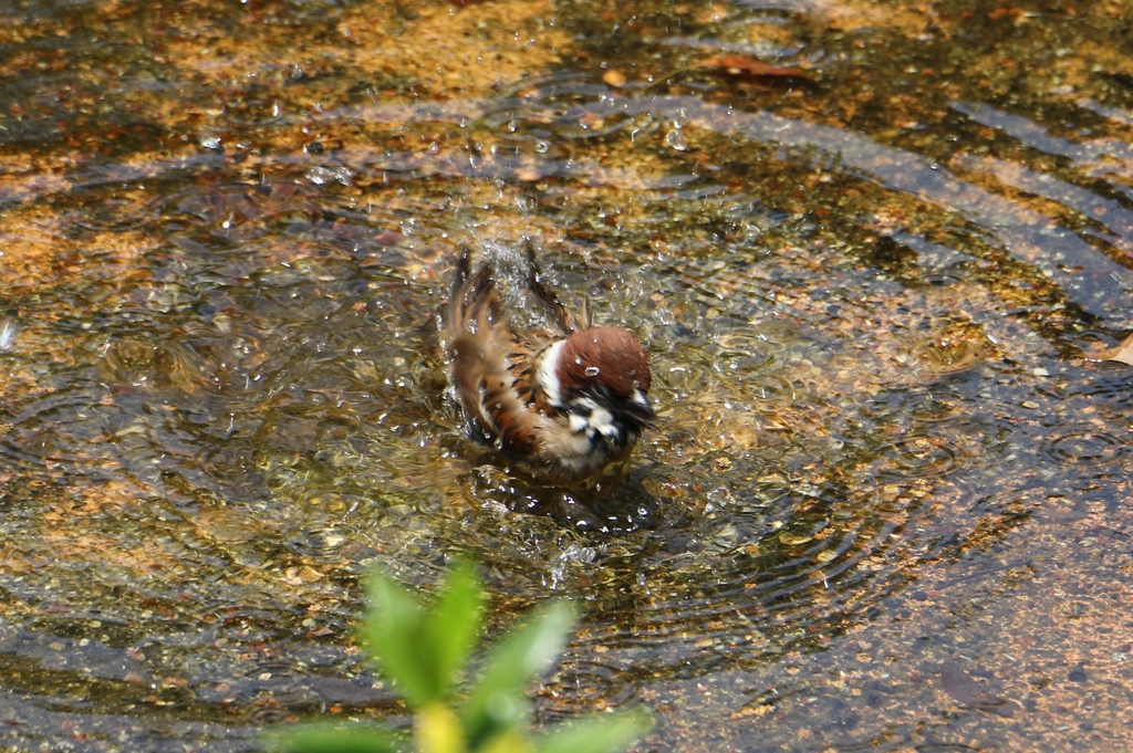 いい気もち！！