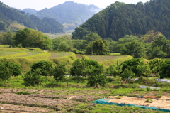 明日香村