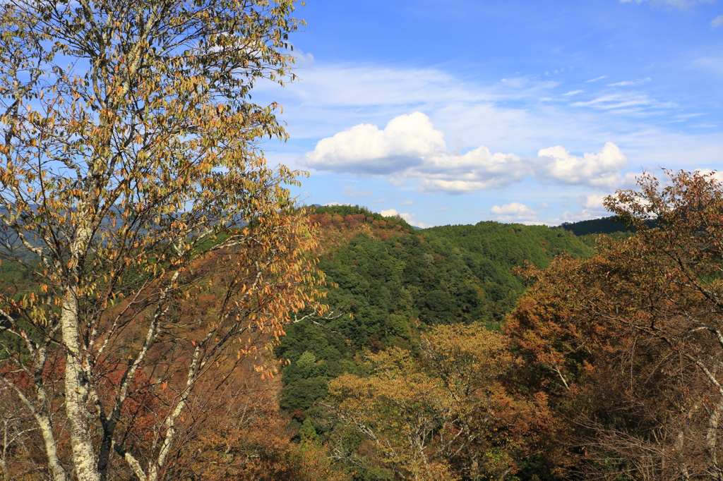 秋の吉野山