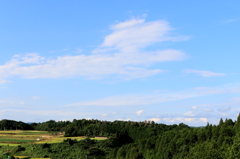 森と畑と秋の空