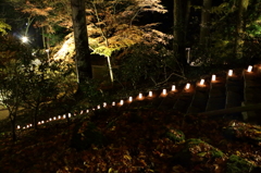 室生寺のライトアップ