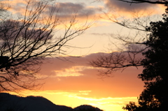 夕焼け