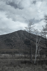 131103s-00097