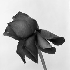 20140202_hbw_005