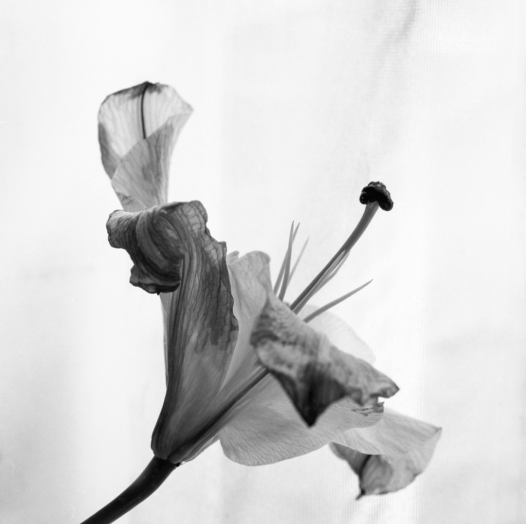 20140126_hbw_024