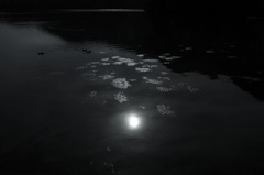 131103s-00103