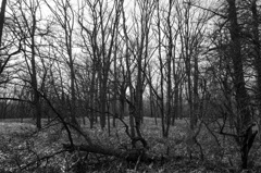 131103s-00094