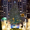 The world's most famous Christmas tree①
