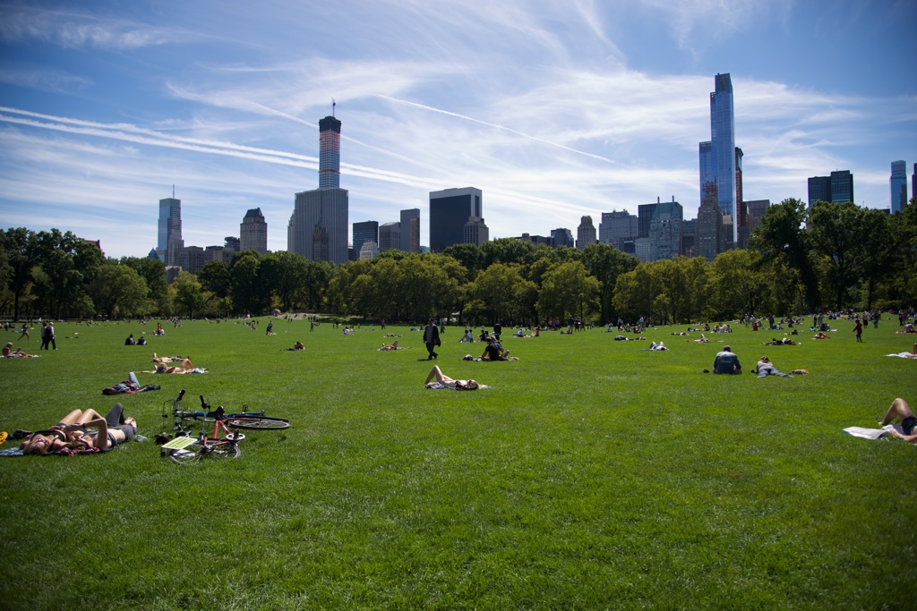 Central Park in September