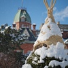 雪舞う札幌赤れんが