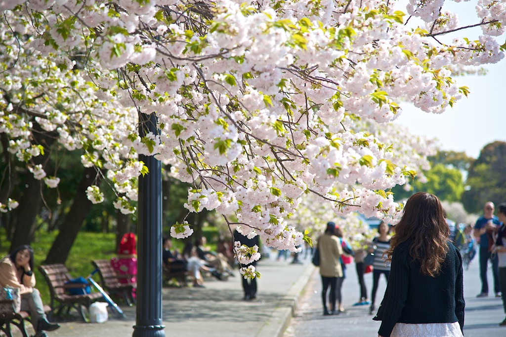 春のにおい