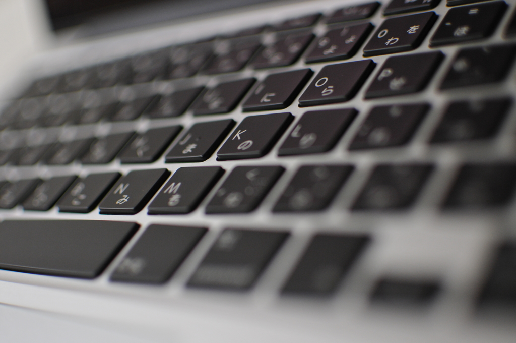 新たな仕事仲間