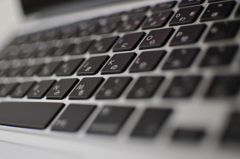 新たな仕事仲間