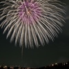 月夜の花火