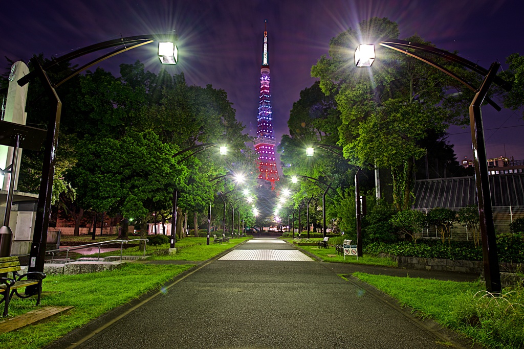 Tokyo Night