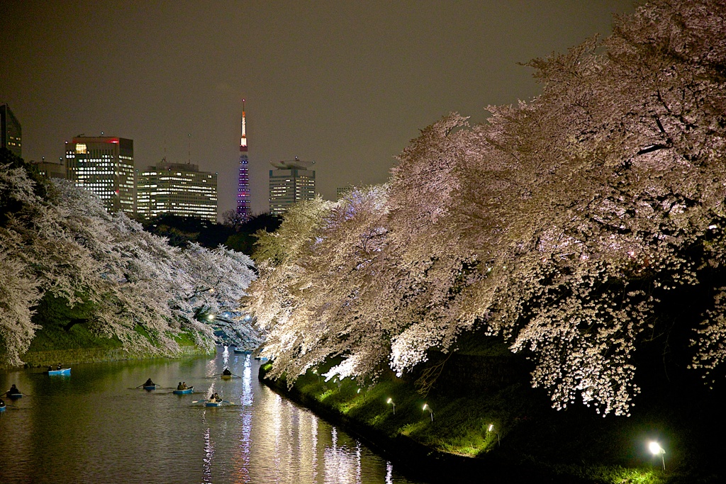 東京の春の風景