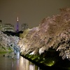 東京の春の風景