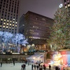 The world's most famous Christmas tree④