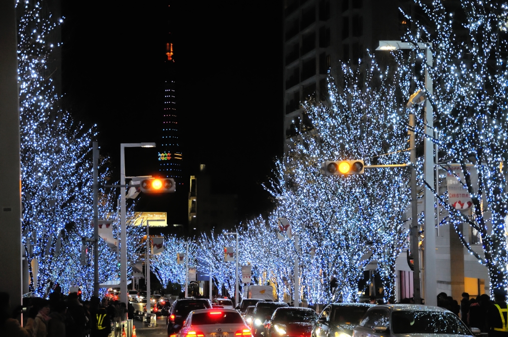 六本木の冬と東京タワー